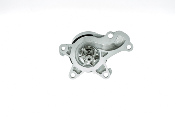 vandens siurblys - WPT-930 AISIN